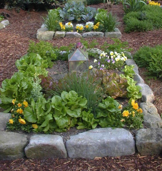 Raised beds for veggies